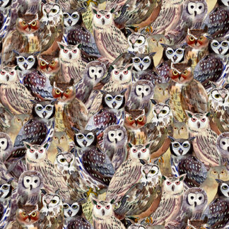Wild Wonder Digital Packed Owls Y4074-55